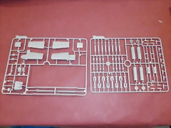 P4200009 P4200009