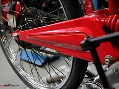 IMG_1738 IMG_1738