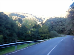 DSCN0690 DSCN0690