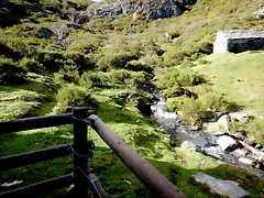 DSCN1358 DSCN1358