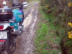DSCN6016 DSCN6016