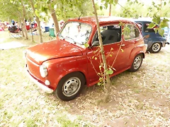 P1070362 P1070362