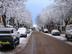 01, nieve en la avenida, marca 2