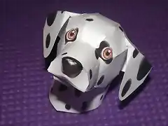 Dalmata acostado