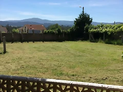 IMG-20170520-WA0007