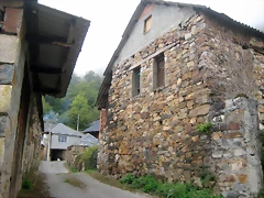 IMG_0392 IMG_0392