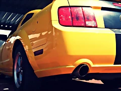 DSC_5221 DSC_5221