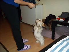 trufita_2 trufita_2