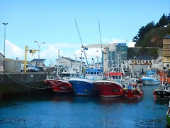 DSCN0631 DSCN0631
