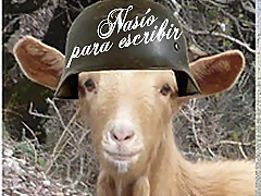 cabra