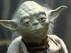 yoda