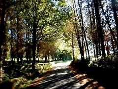 DSCN1046