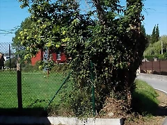 IMG_20161001_154309 IMG_20161001_154309
