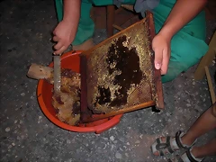 5a