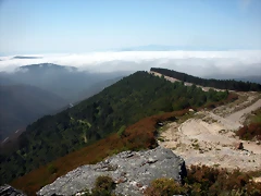 DSCN5719 DSCN5719