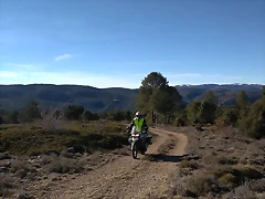 91