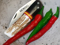 Jarota 15 Jarota 15