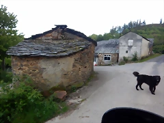 DSCN2139 DSCN2139