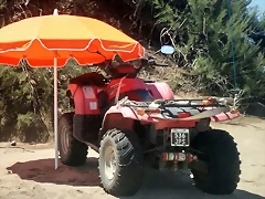 IMG-20170115-WA0036