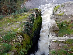 DSCN0762 DSCN0762