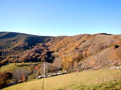 DSCN9496 DSCN9496