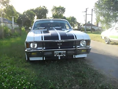 SDC14679 SDC14679