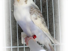 SAM_0304