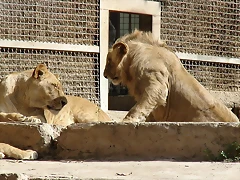 Zoológico 23-09-05 198 Zoológico 23-09-05 198