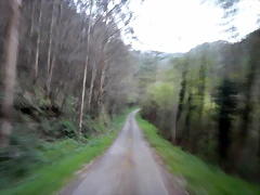 DSCN9666 DSCN9666