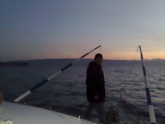 05022011814 05022011814