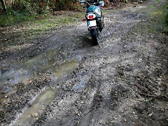 DSCN6432 DSCN6432