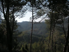 PICT0177