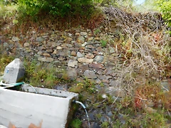 DSCN9189 DSCN9189