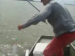 Pesca de lisas en Juan y Juan