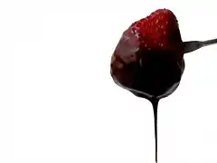 fondue-chocolate-raw-vegan[1]