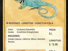 lagarto de collar