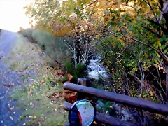 DSCN1339 DSCN1339