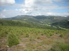 DSCN4214 DSCN4214