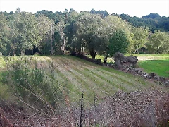 DSCN5265 DSCN5265