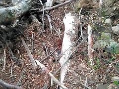 IMG-20190510-WA0018 IMG-20190510-WA0018