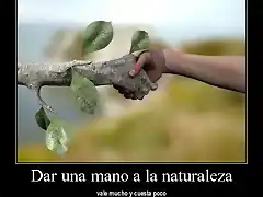 giveahandtonature168085400294