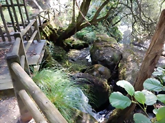 DSCN8442