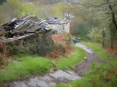 DSCN4196 DSCN4196