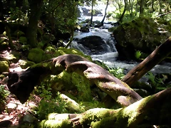 DSCN2841 DSCN2841