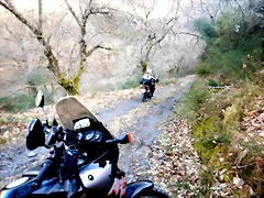 DSCN2954 DSCN2954