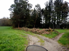 DSCN2993 DSCN2993