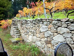 DSCN9888 DSCN9888