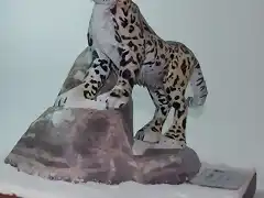 Leopardo de las nieves (10)