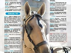 Cartel-Feria-Caballo-2017a Cartel-Feria-Caballo-2017a