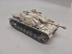 STG31
